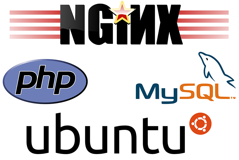 آموزش کامل نصب و پیکربندی MariaDB برای Apache و Nginx – راهنمای گام به گام